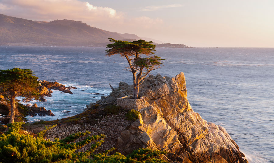 17 Miles Drive - Monterey Carmel, California Road Trip - California Coast.